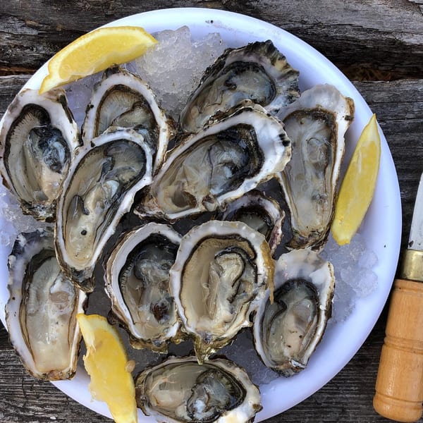 Fresh oysters on the half shell, served on a bed of ice with lemon wedges.